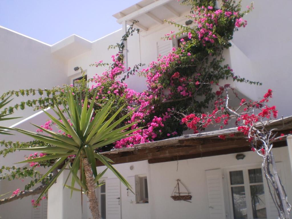 Paros Rita Studios Piso Livadi Zewnętrze zdjęcie
