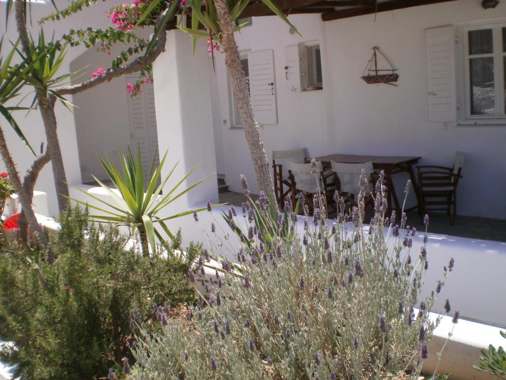 Paros Rita Studios Piso Livadi Zewnętrze zdjęcie